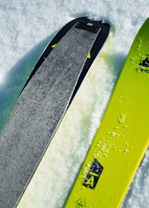 Alpine Store — Fischer Pro Shop