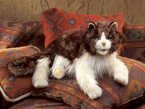 Folkmanis Puppets Ragdoll Cat ぬいぐるみ Ragdoll Cat Hand Puppet | Folkmanis